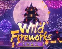 Wild Fireworks